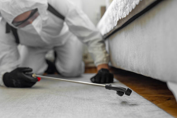 Professional Ant Control technician working in Oak Park Heights, MN