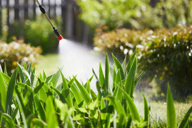24/7 Emergency Mosquito Control experts in Oak Park Heights, MN