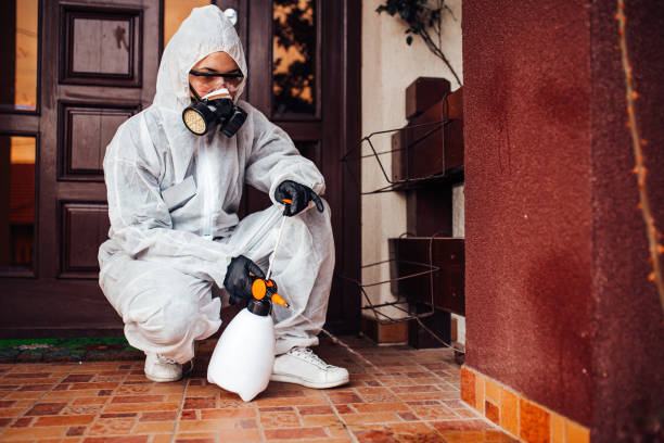 Reliable Mosquito Control contractor in Oak Park Heights, MN by Show Me Pest Control