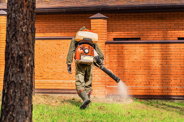 Top rated local Mosquito Control specialists in Oak Park Heights, MN